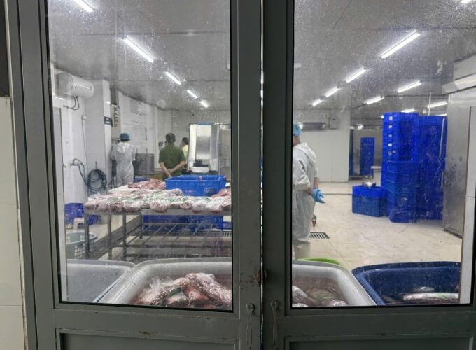 Bơm tinh chất tạo vân mỡ ‘phù phép’ 14 tấn thịt trâu thành thịt bò Nhật WAGYU