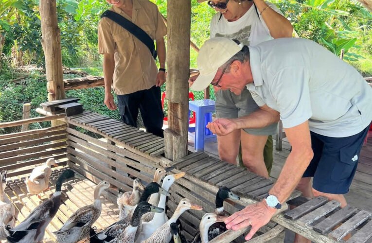 Bà chủ miệt vườn ở miền Tây mở dịch vụ massage độc đáo với 30 nhân viên vịt đặc biệt.