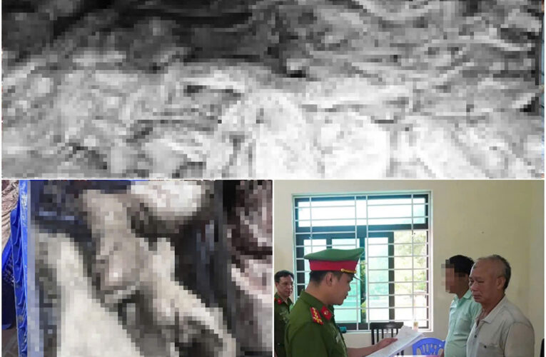 Bă’t tạm giam chủ cơ sở ở xã Vĩnh Hưng trữ gần 38 tấn th.ịt lợn nhi.ễm dịch tả để bán kiê’m lơ`i