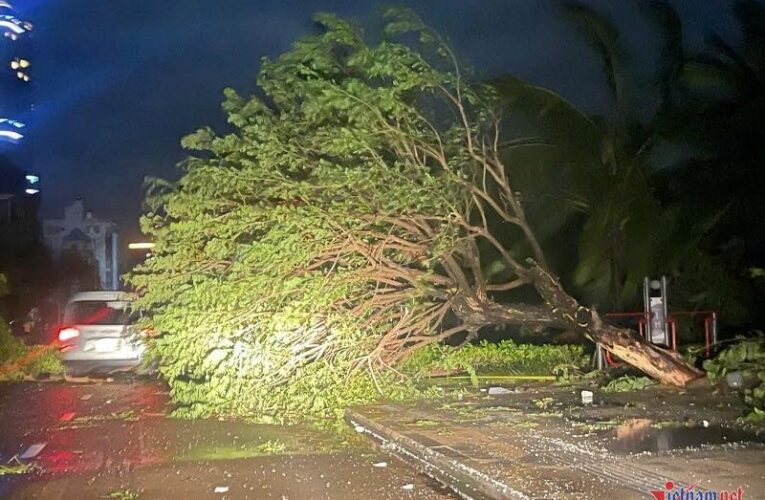 Những cảnh tượng nhói lòng sau bão số 13